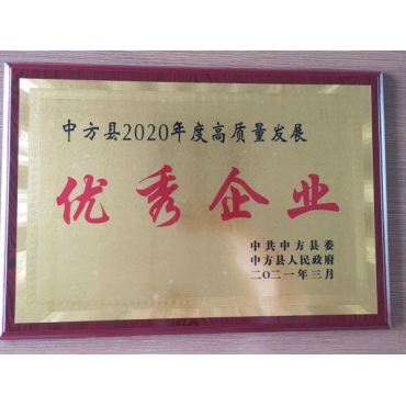 湖北2020年度高質(zhì)量發(fā)展優(yōu) 秀企業(yè)